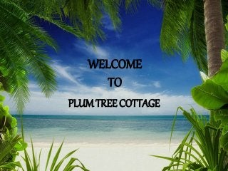 WELCOME
TO
PLUM TREE COTTAGE
 