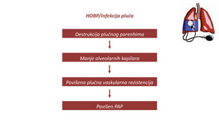 HOBP/Infekcija pluća
Destrukcija plućnog parenhima
Manje alveolarnih kapilara
Povišena plućna vaskularna rezistencija
Povišen PAP
 