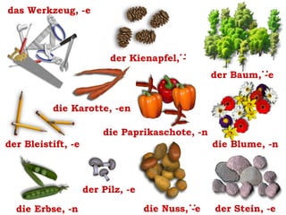 das Werkzeug, -e

:

der Kienapfel, -

:

der Baum, -e
die Karotte, -en
die Paprikaschote, -n
der Bleistift, -e

die Blume, -n

der Pilz, -e
die Nuss, -e

:

die Erbse, -n

der Stein, -e

 