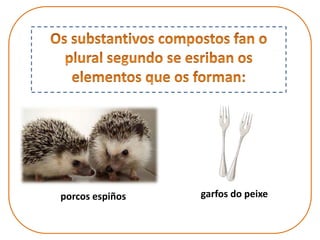 porcos espiños garfos do peixe
 