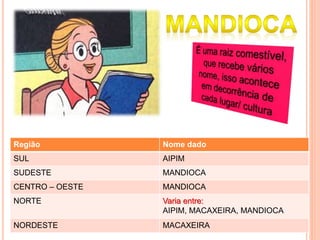 Região Nome dado
SUL AIPIM
SUDESTE MANDIOCA
CENTRO – OESTE MANDIOCA
NORTE Varia entre:
AIPIM, MACAXEIRA, MANDIOCA
NORDESTE MACAXEIRA
 
