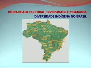 PLURALIDADE CULTURAL, DIVERSIDADE E CIDADANIA DIVERSIDADE INDÍGENA NO BRASIL 