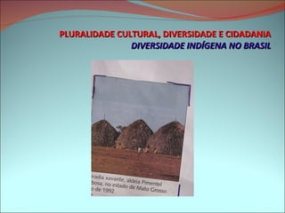 PLURALIDADE CULTURAL, DIVERSIDADE E CIDADANIA DIVERSIDADE INDÍGENA NO BRASIL 