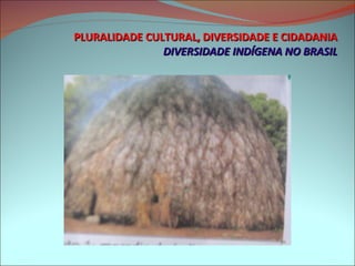 PLURALIDADE CULTURAL, DIVERSIDADE E CIDADANIA DIVERSIDADE INDÍGENA NO BRASIL 