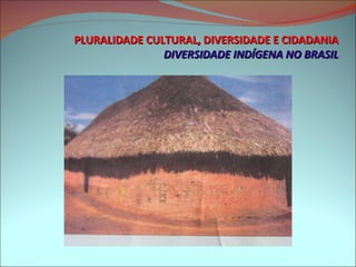 PLURALIDADE CULTURAL, DIVERSIDADE E CIDADANIA DIVERSIDADE INDÍGENA NO BRASIL 