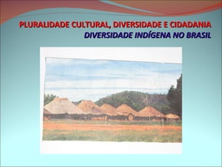 PLURALIDADE CULTURAL, DIVERSIDADE E CIDADANIA DIVERSIDADE INDÍGENA NO BRASIL 