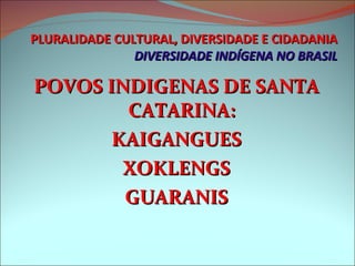 PLURALIDADE CULTURAL, DIVERSIDADE E CIDADANIA DIVERSIDADE INDÍGENA NO BRASIL POVOS INDIGENAS DE SANTA CATARINA: KAIGANGUES XOKLENGS GUARANIS 