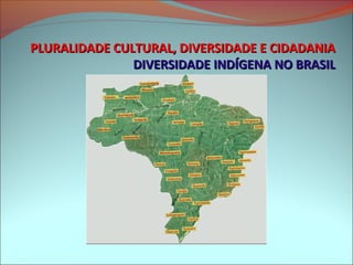 PLURALIDADE CULTURAL, DIVERSIDADE E CIDADANIA
               DIVERSIDADE INDÍGENA NO BRASIL
 