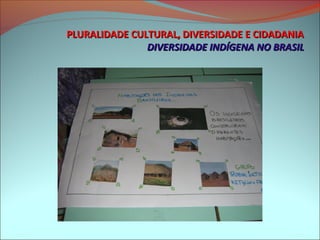 PLURALIDADE CULTURAL, DIVERSIDADE E CIDADANIA
               DIVERSIDADE INDÍGENA NO BRASIL
 