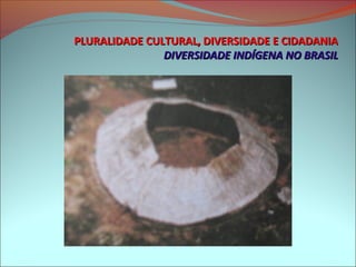 PLURALIDADE CULTURAL, DIVERSIDADE E CIDADANIA
               DIVERSIDADE INDÍGENA NO BRASIL
 