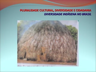 PLURALIDADE CULTURAL, DIVERSIDADE E CIDADANIA
               DIVERSIDADE INDÍGENA NO BRASIL
 