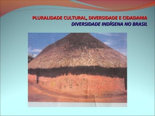 PLURALIDADE CULTURAL, DIVERSIDADE E CIDADANIA
               DIVERSIDADE INDÍGENA NO BRASIL
 