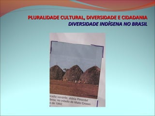 PLURALIDADE CULTURAL, DIVERSIDADE E CIDADANIA
               DIVERSIDADE INDÍGENA NO BRASIL
 