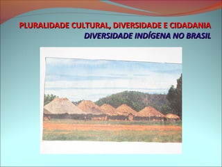 PLURALIDADE CULTURAL, DIVERSIDADE E CIDADANIA
               DIVERSIDADE INDÍGENA NO BRASIL
 