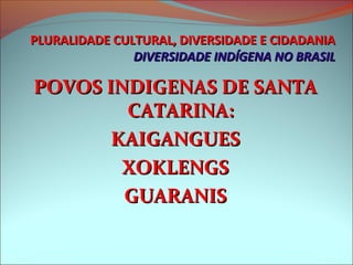 PLURALIDADE CULTURAL, DIVERSIDADE E CIDADANIA
               DIVERSIDADE INDÍGENA NO BRASIL

POVOS INDIGENAS DE SANTA
        CATARINA:
       KAIGANGUES
        XOKLENGS
        GUARANIS
 