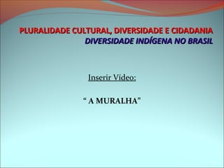 PLURALIDADE CULTURAL, DIVERSIDADE E CIDADANIA
               DIVERSIDADE INDÍGENA NO BRASIL



               Inserir Vídeo:

              “ A MURALHA”
 