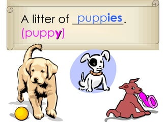 A litter of _________.  (pupp y ) pupp ies 