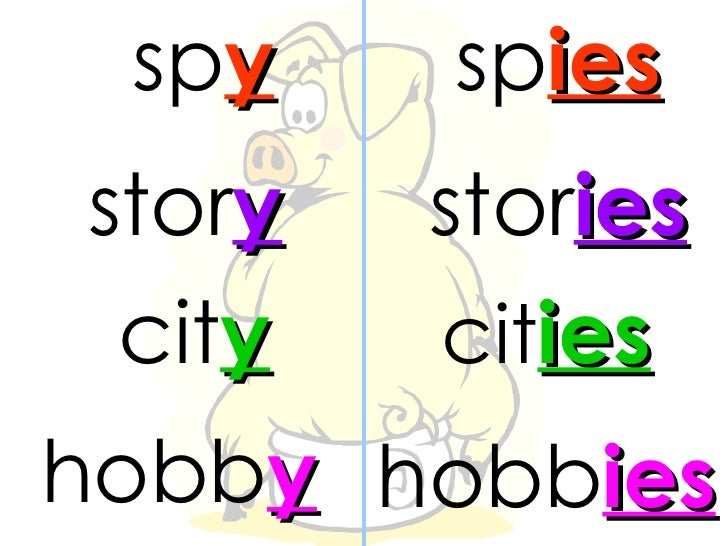 Plural ies Plural ies