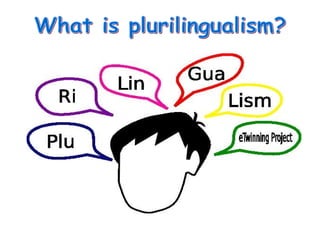 What is plurilingualism? 