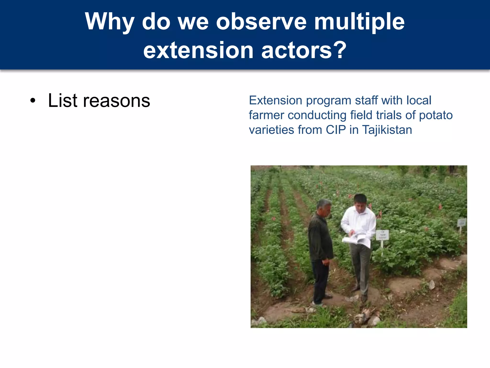 Why do we observe multiple
extension actors?
• List reasons Extension program staff with local
farmer conducting field trials of potato
varieties from CIP in Tajikistan