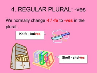 4. REGULAR PLURAL: -ves
We normally change -f / -fe to -ves in the
plural.
Knife - knives
Shelf - shelves
 
