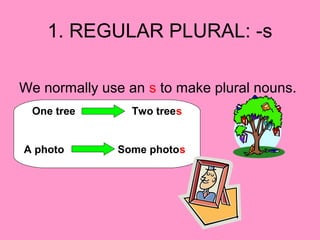 1. REGULAR PLURAL: -s
We normally use an s to make plural nouns.
One tree Two trees
A photo Some photos
 