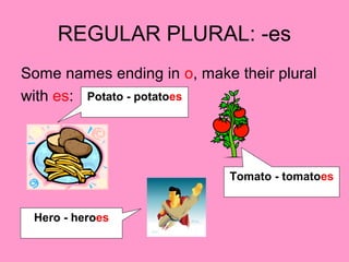REGULAR PLURAL: -es
Some names ending in o, make their plural
with es: Potato - potatoes
Tomato - tomatoes
Hero - heroes
 