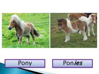 Plural nouns | PPTX