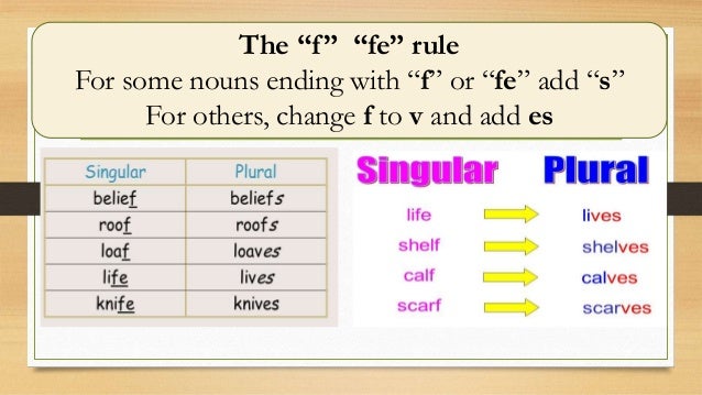 Regular and irregular plural nouns.