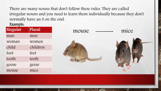 There are many nouns that don't follow these rules. They are called
irregular nouns and you need to learn them individually because they don't
normally have an S on the end.
Example:
Singular Plural
man men
woman women
child children
foot feet
tooth teeth
goose geese
mouse mice
mouse mice
 