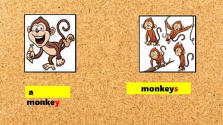 a
monkey
monkeys
 