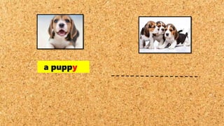 a puppy
 