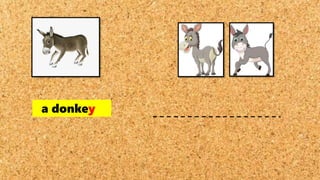 a donkey
 