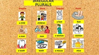 IRREGULAR
PLURALS
a child
a man
a tooth
children
men
teeth
Singular Plural
a foot
a woman
a mouse
feet
women
mice
Singular Plural
 
