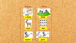 a sheep
a deer
a goose
sheep
deer
geese
Singula
r
Plural
 
