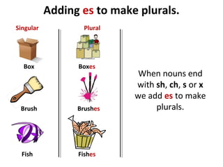 Adding es to make plurals.
Box
Brush
Fish
Boxes
Brushes
Fishes
Singular Plural
When nouns end
with sh, ch, s or x
we add es to make
plurals.
 