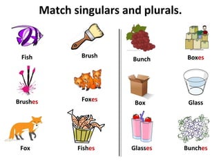 Match singulars and plurals.
Box
BrushFish Boxes
Brushes
Fishes
Foxes
Fox
Bunch
BunchesGlasses
Glass
 
