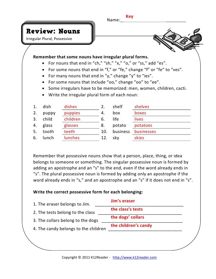 singular-and-plural-nouns-worksheets-with-answer-key-pdf-possessive-nouns-interactive