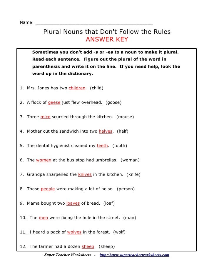 plural noun worksheet number 3
