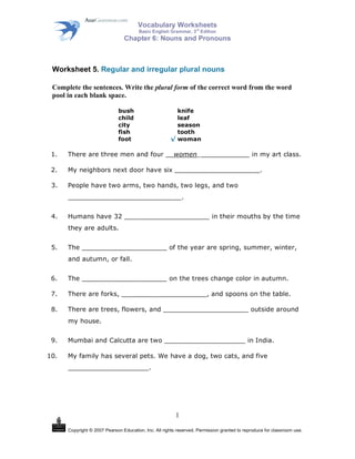 plural noun worksheet number 5