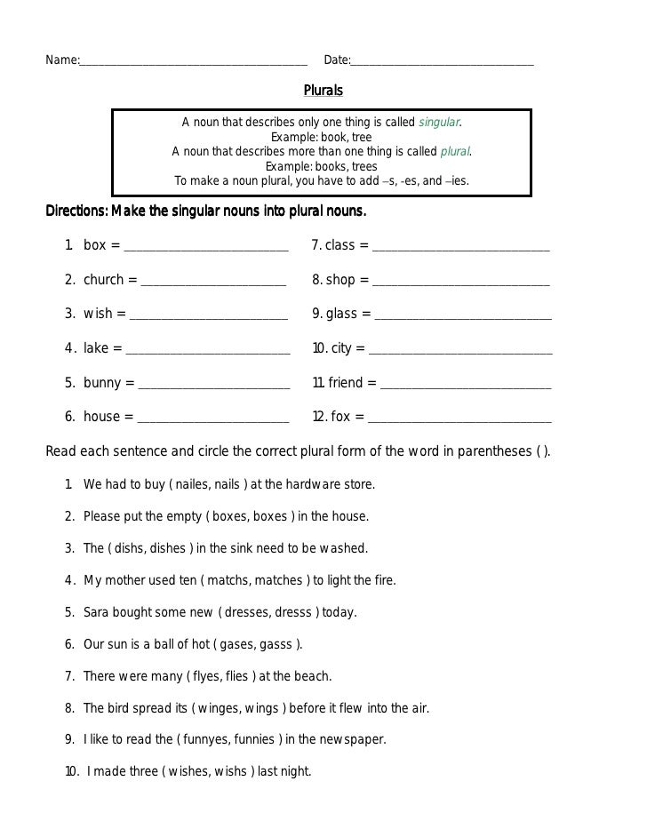 Plural noun worksheet number 7