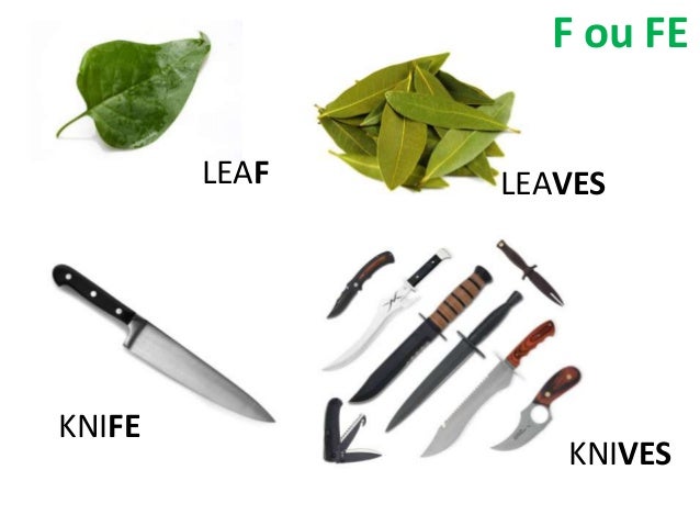 Plural of nouns powerpoint comun