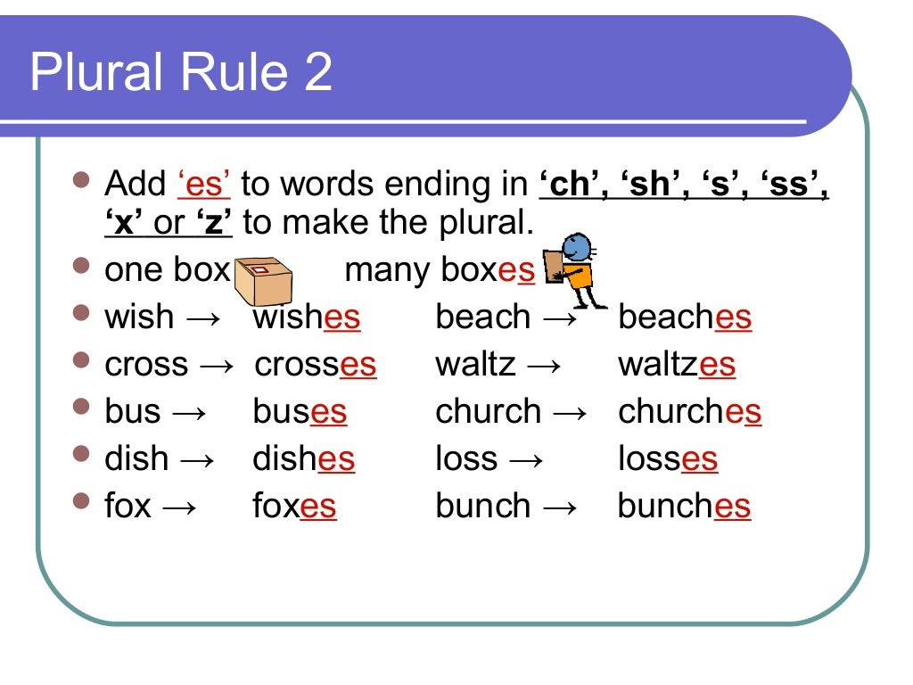 Plural S Es Rules
