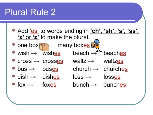 Plural Rules