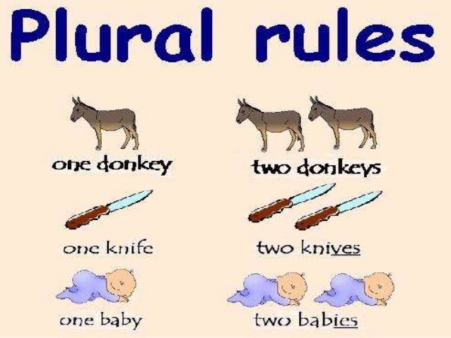 Plural Rules