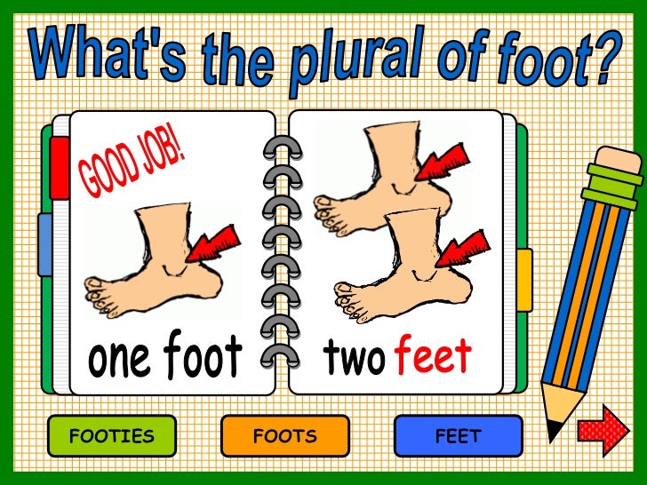 Plurals
