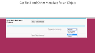 Get Fieldand Other Metadatafor an Object
 