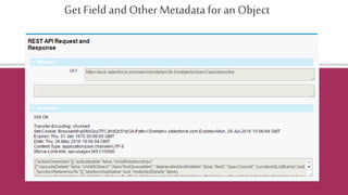 Get Field and Other Metadatafor an Object
 