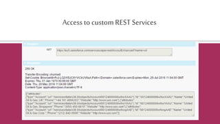 Access to customREST Services
 