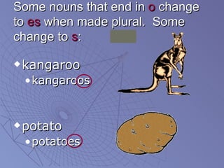 Some nouns that end in  o  change to  es  when made plural.  Some change to  s : <ul><li>kangaroo </li></ul><ul><ul><li>ka...
